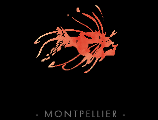 logo studio camille mireval herault